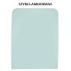 GLASS LAMINATED GREEN CVA