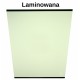 GLASS LAMINATED GREEN WITH SCREEN PRINT CVA