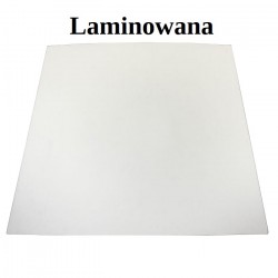 SZYBA LAMINOWANA BEZBARWNA Z SITODRUKIEM CVA XL