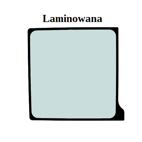 SZYBA LAMINOWANA ZIELONA CVA