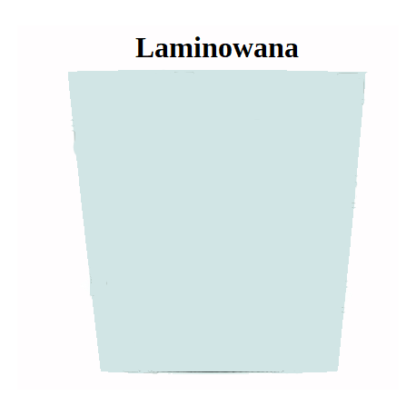 SZYBA LAMINOWANA ZIELONA Z SITODRUKIEM CVA